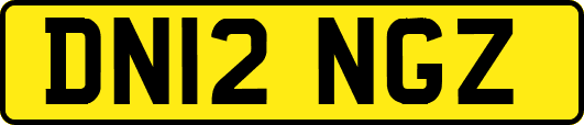 DN12NGZ