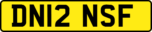 DN12NSF