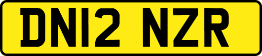 DN12NZR