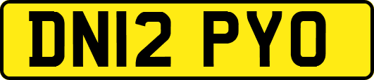 DN12PYO