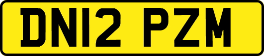 DN12PZM