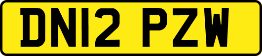 DN12PZW