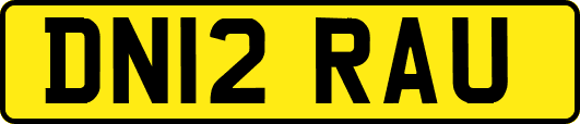 DN12RAU