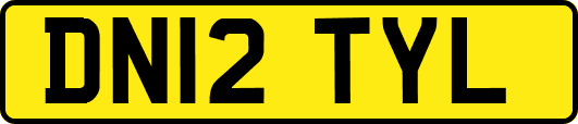DN12TYL