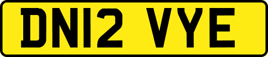 DN12VYE