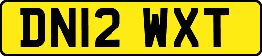 DN12WXT