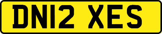 DN12XES