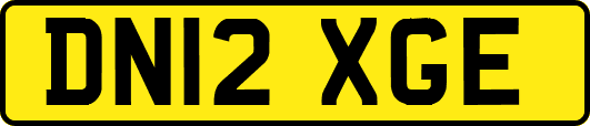 DN12XGE
