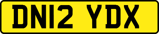 DN12YDX