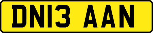 DN13AAN