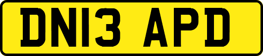 DN13APD