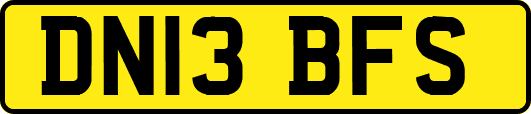 DN13BFS