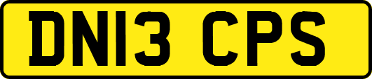 DN13CPS