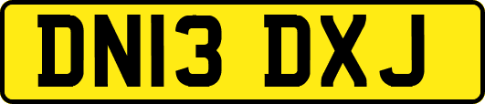 DN13DXJ