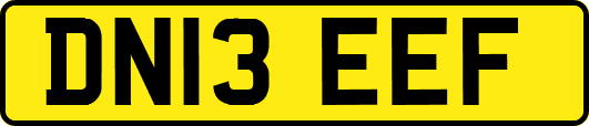 DN13EEF