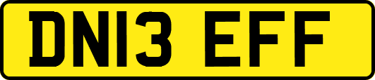 DN13EFF