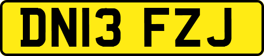 DN13FZJ