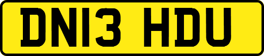 DN13HDU