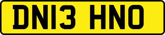 DN13HNO