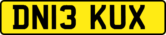 DN13KUX