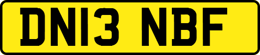 DN13NBF