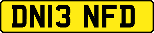 DN13NFD