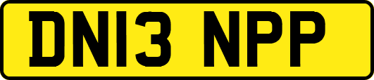 DN13NPP