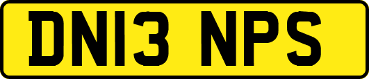 DN13NPS