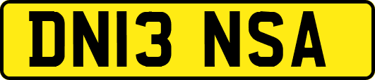 DN13NSA