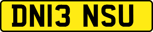 DN13NSU