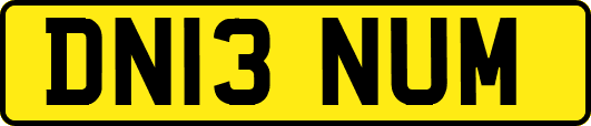 DN13NUM