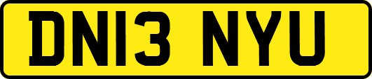 DN13NYU