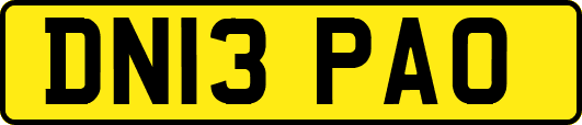 DN13PAO