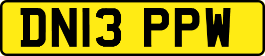 DN13PPW