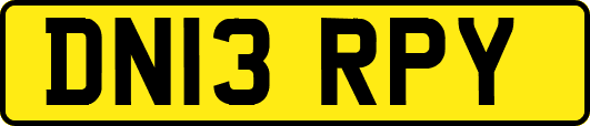 DN13RPY