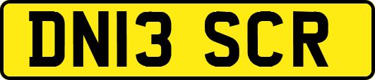 DN13SCR