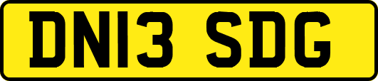 DN13SDG