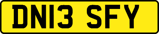 DN13SFY