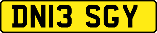 DN13SGY