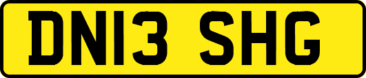 DN13SHG