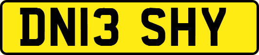 DN13SHY