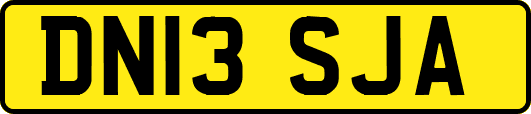 DN13SJA