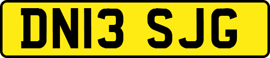 DN13SJG