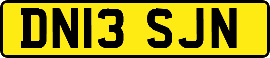 DN13SJN