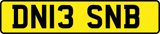 DN13SNB