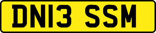 DN13SSM