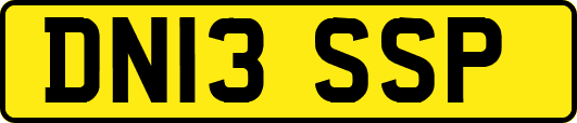 DN13SSP