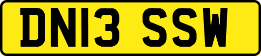 DN13SSW