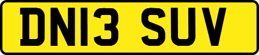 DN13SUV