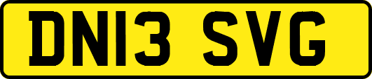 DN13SVG